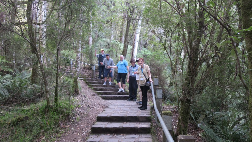 A group of travellers with diverse abilities on a guided nature tour through the Otways bushland on the Great Ocean Road