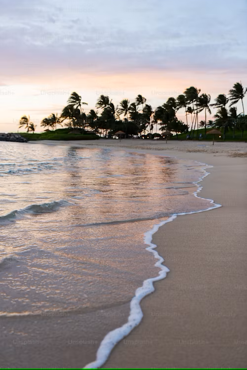 Maui Beach with tide coming in and coconut trees in the background