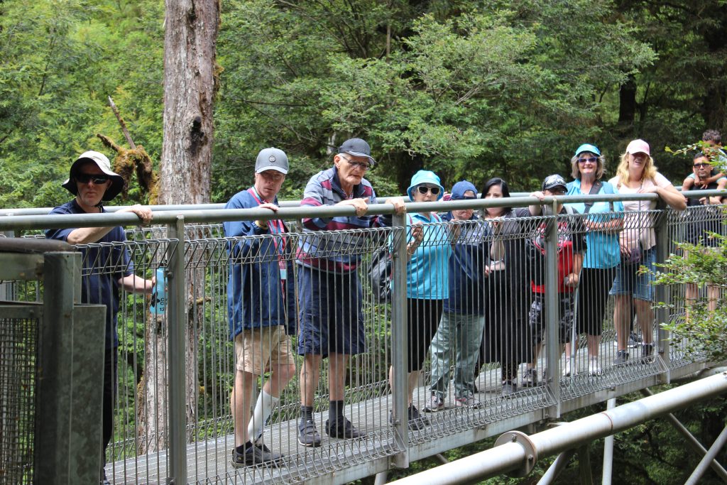 A group of travellers with diverse abilities doing the Otway Fly Treetop Walk on the Great Ocean Road